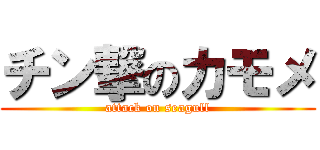 チン撃のカモメ (attack on seagull)