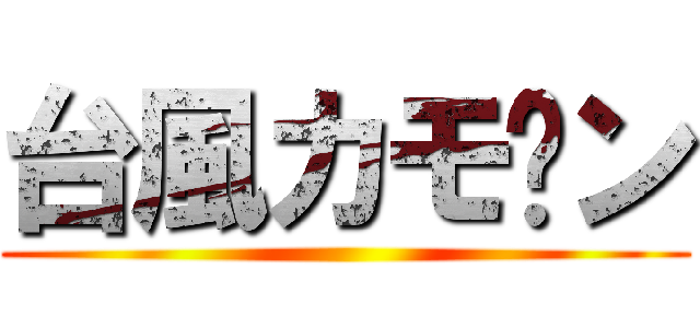 台風カモ〜ン ()