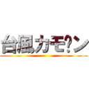 台風カモ〜ン ()