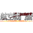 航空戰鬥營 (SUMMER CAMP)
