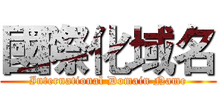 國際化域名 (International Domain Name)