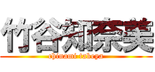 竹谷知奈美 (chinami takeya)