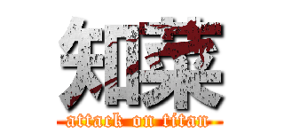 知菜 (attack on titan)