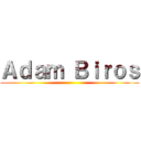 Ａｄａｍ Ｂｉｒｏｓ ()