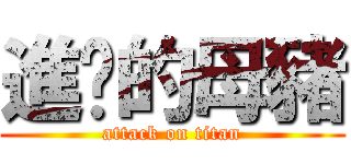 進擊的母豬 (attack on titan)