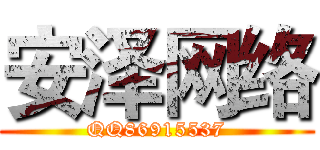 安泽网络 (QQ86915537)
