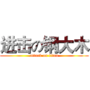 进击の钢大木 (attack on titan)