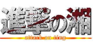 進撃の湘 (attack on ting)