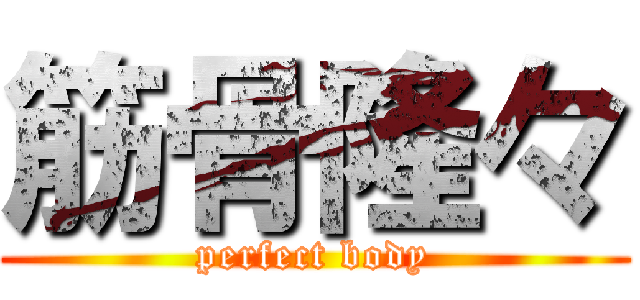 筋骨隆々 (perfect body)