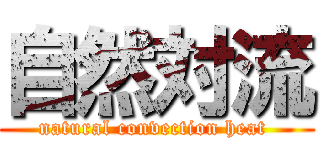 自然対流 (natural convection heat )