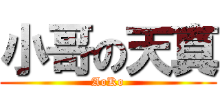 小哥の天真 (AoKo)