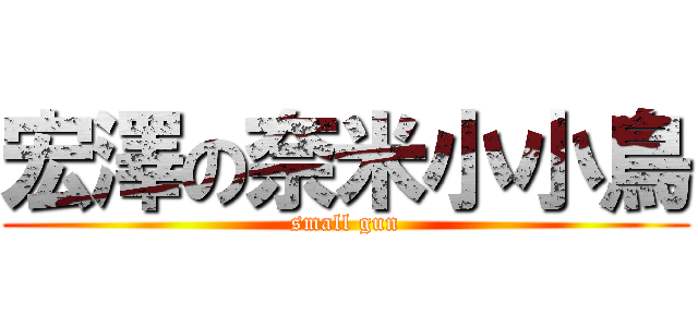 宏澤の奈米小小鳥 (small gun)