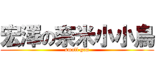 宏澤の奈米小小鳥 (small gun)