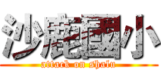 沙鹿國小 (attack on shalu)