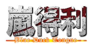 嵐得利 (Blue Duck Tongue)