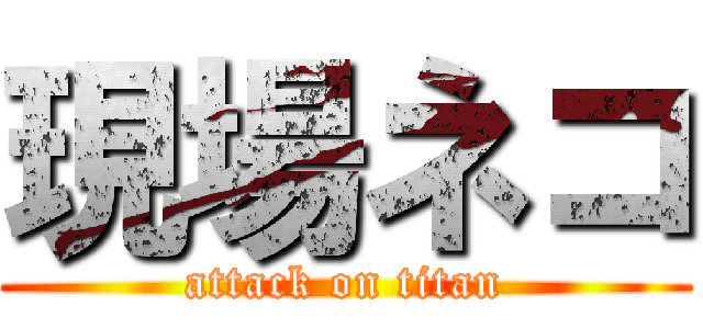 現場ネコ (attack on titan)