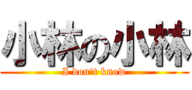 小林の小林 (I don't know)