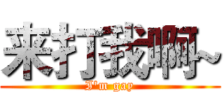 来打我啊~ (I'm gay)