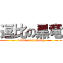 逗比の黑竜 (doubi on heilong)