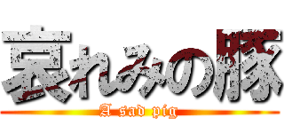 哀れみの豚 (A sad pig)