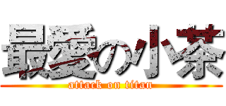 最愛の小茶 (attack on titan)