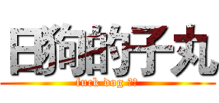 日狗的子丸 (fuck dog ⭕⭕)