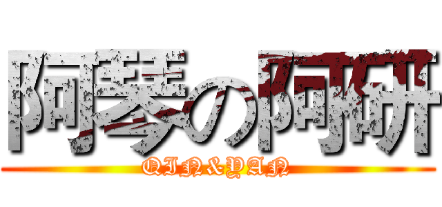 阿琴の阿研 (QIN&YAN)