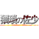 猥琐の佐少 (attack on titan)