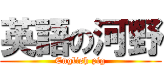 英語の河野 (English pig)
