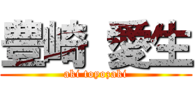 豊崎 愛生 (aki toyozaki)