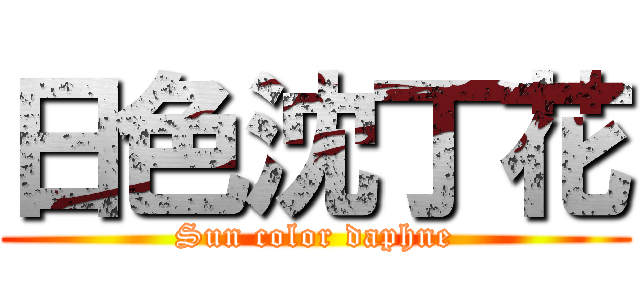 日色沈丁花 (Sun color daphne)
