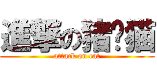 進撃の猪头猫 (attack on cat)