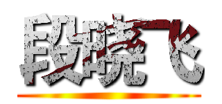 段晓飞 ()