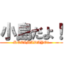 小島だよ！ (KOZIMADAYO!)