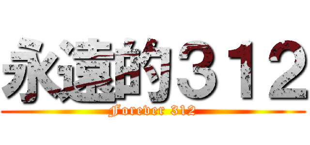 永遠的３１２ (Forever 312)