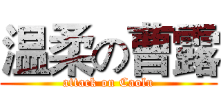 温柔の曹露 (attack on Caolu)