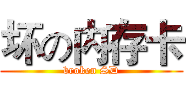 坏の内存卡 (broken SD)