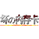 坏の内存卡 (broken SD)