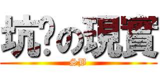 坑爹の現實 (SB)