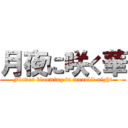 月夜に咲く華 (Flower blooming in moonlit night)