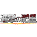 進撃の肥星 (BY:肥星)