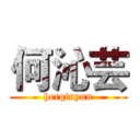 何沁芸 (herqinyun)