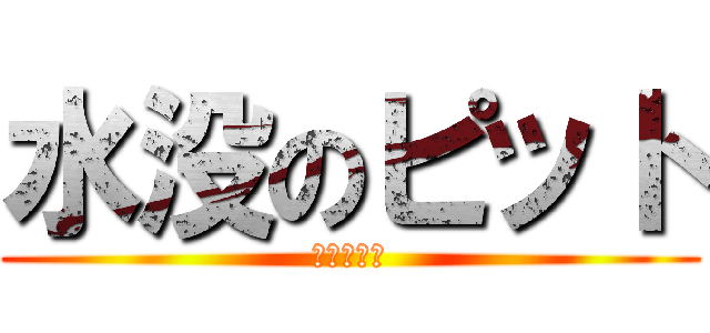 水没のピット (明日も休工)