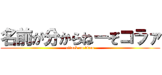 名前が分からねーぞコラァ (attack on titan)