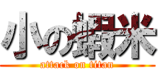 小の蝦米 (attack on titan)