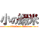 小の蝦米 (attack on titan)