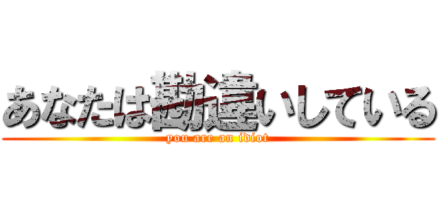 あなたは勘違いしている (you are an idiot)