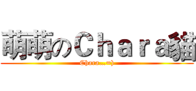 萌萌のＣｈａｒａ貓 (Chara…=))