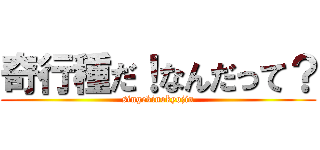 奇行種だ！なんだって？ (singekinokyojin)