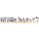 奇行種だ！なんだって？ (singekinokyojin)